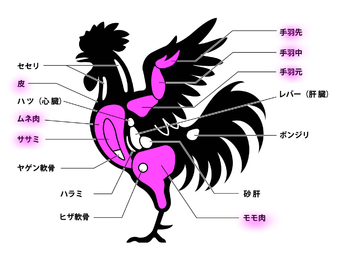  Foto zu 鶏肉の部位を知る②部位ごとの説明 
